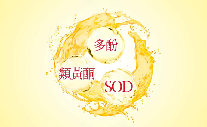 天然茶多酚 SOD促進新陳代謝